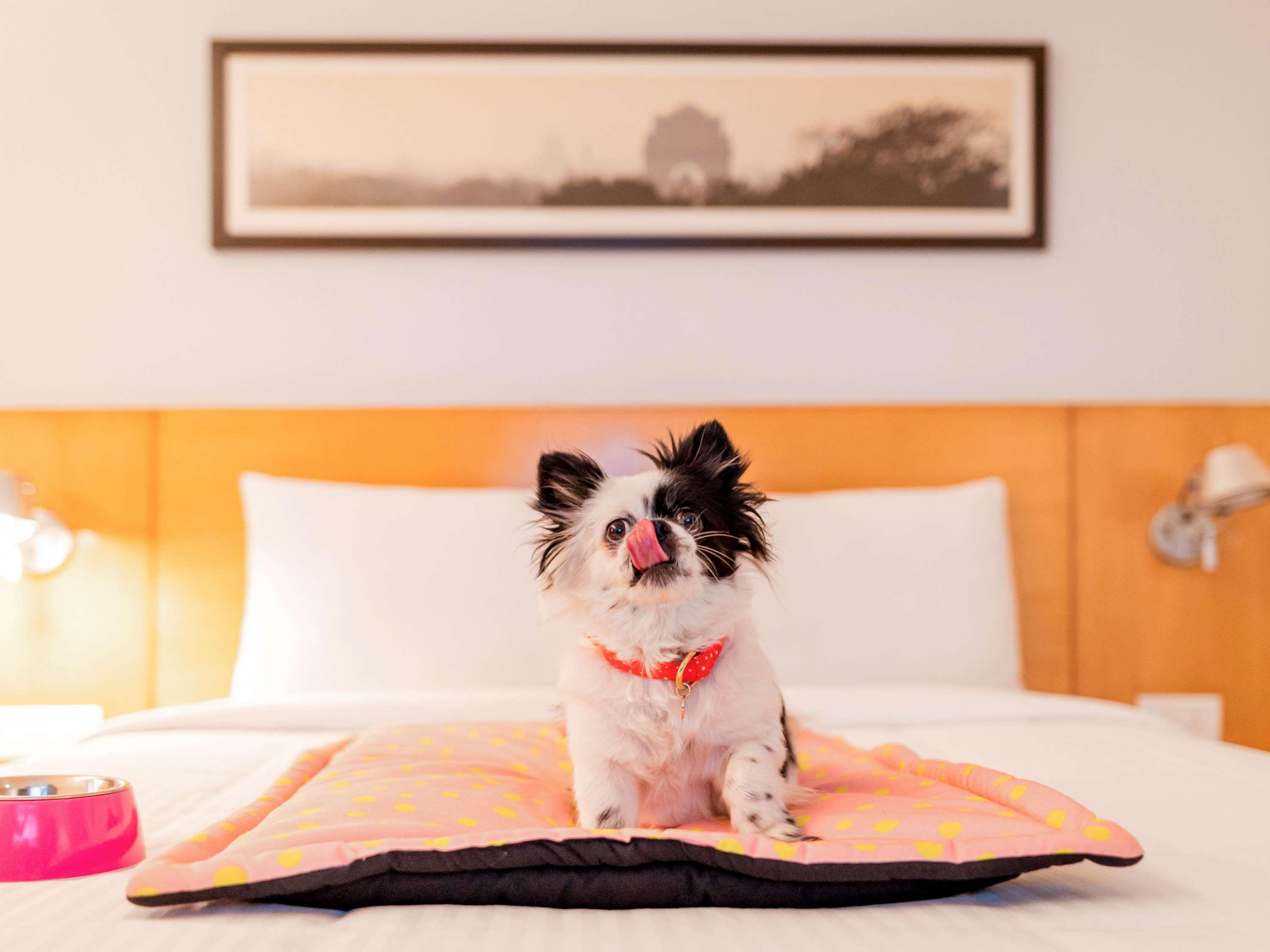 Ibis Chennai Omr - An Accor Brand Hotel Buitenkant foto
